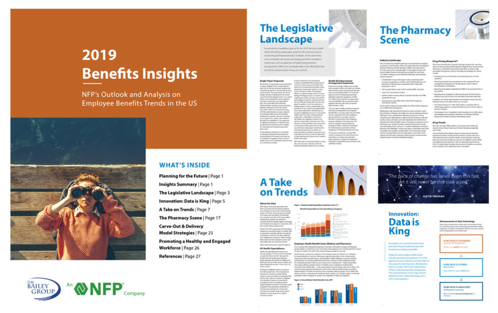 What our 2019 Benefits Insights Report looks like